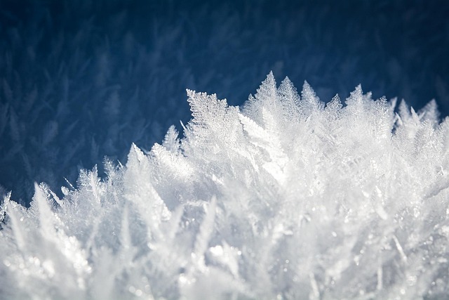 Things to do this winter that are affordable